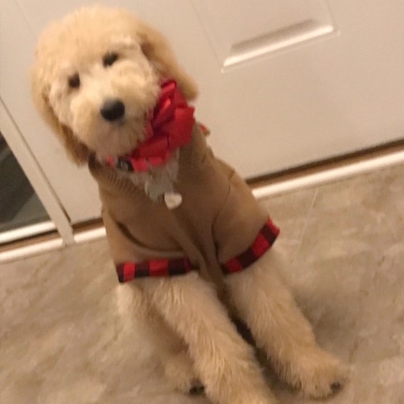 Meet your Posher, Ashley - Picture 1 of 1